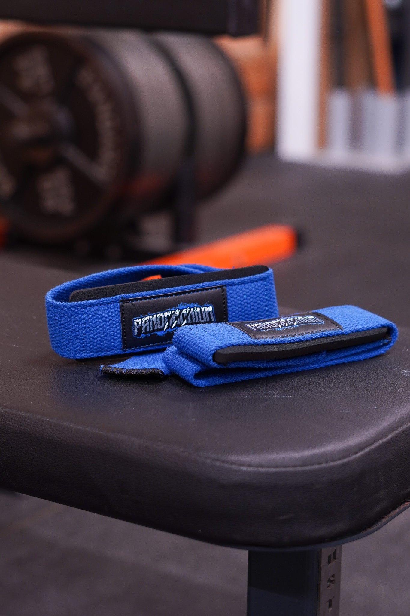 Blue Pandamonium lifting straps resting on a gym bench with weight plates blurred in the background.